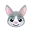 :rabbit face: