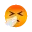 :sneezing face: